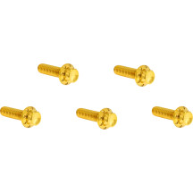 Derby Cover Titanium 12-Point Bolt Kit — '18+ M8 Softail, Gold