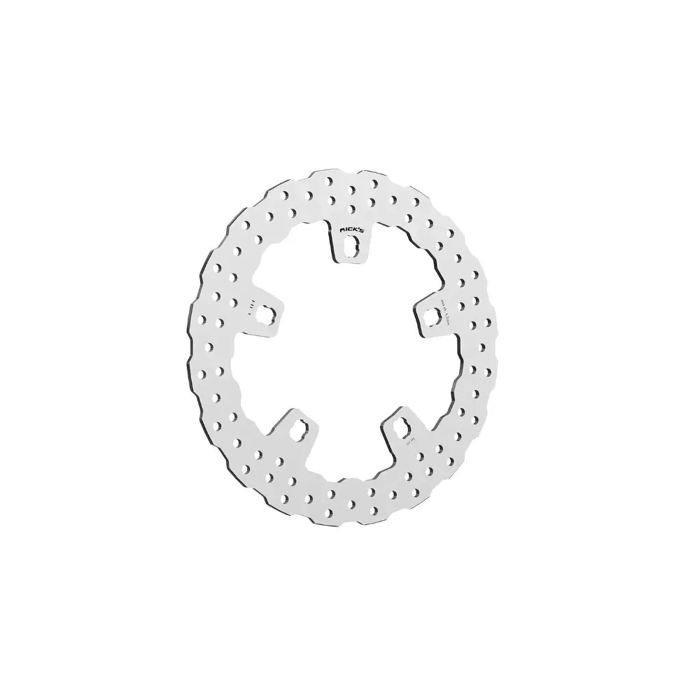 Brake Rotor Fixed Wave — 300 mm (11.8"), 170 mm bolt circle, 5-hole, stainless steel