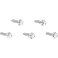 Derby Cover 12-Point Titanium Bolt Kit — Titanium, Polished Silver