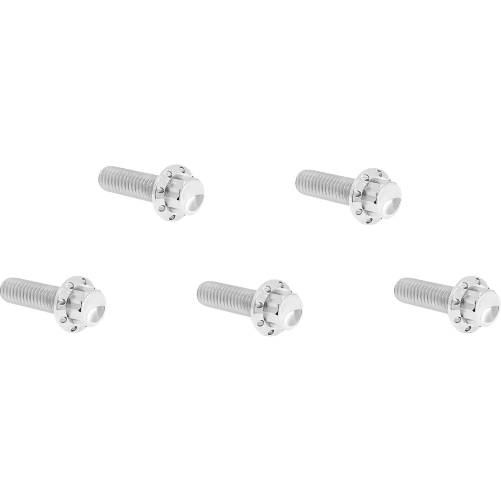 Derby Cover 12-Point Titanium Bolt Kit — Titanium, Polished Silver