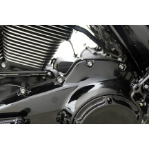 Outer Primary Cover Titanium 12-Point Bolt Kit — for FLT, Silver