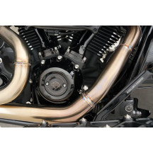 Cam Cover/Point Cover Titanium 12-Point Bolt Kit — 12-point cam & point cover fit, polished silver