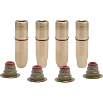 Valve Guide Kit — Standard, ID intake 0.2760\" exhaust 0.2755\"