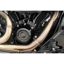 Cam Cover/Point Cover Titanium 12-Point Bolt Kit — 12-point cam & point cover fit, polished silver