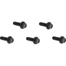 Derby Cover 12-Point Titanium Bolt Kit — Black