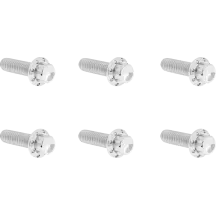 Transmission Top Cover Titanium 12-Point Bolt Kit — Polished silver