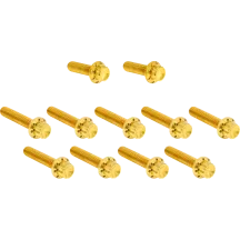 Cam Cover/Point Cover Titanium 12-Point Bolt Kit — Gold