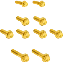 Transmission Side Cover & Trap Door Titanium 12-Point Bolt Kit — Gold