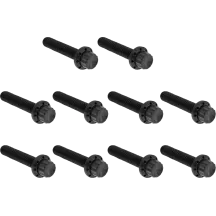 Cam Cover/Point Cover Titanium 12-Point Bolt Kit — Black