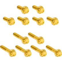 Rocker Box 12-Point Titanium Bolt Kit — Gold