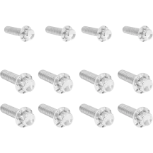 Transmission Side Cover & Trap Door Titanium 12-Point Bolt Kit — Silver Polished, Kit