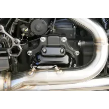 Transmission Side Cover & Trap Door Titanium 12-Point Bolt Kit — Silver Polished, Kit