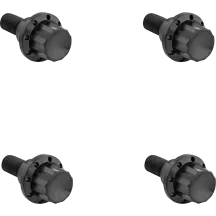 Windshield Titanium 12-Point Bolt Kit — '24+ Road Glide, Black