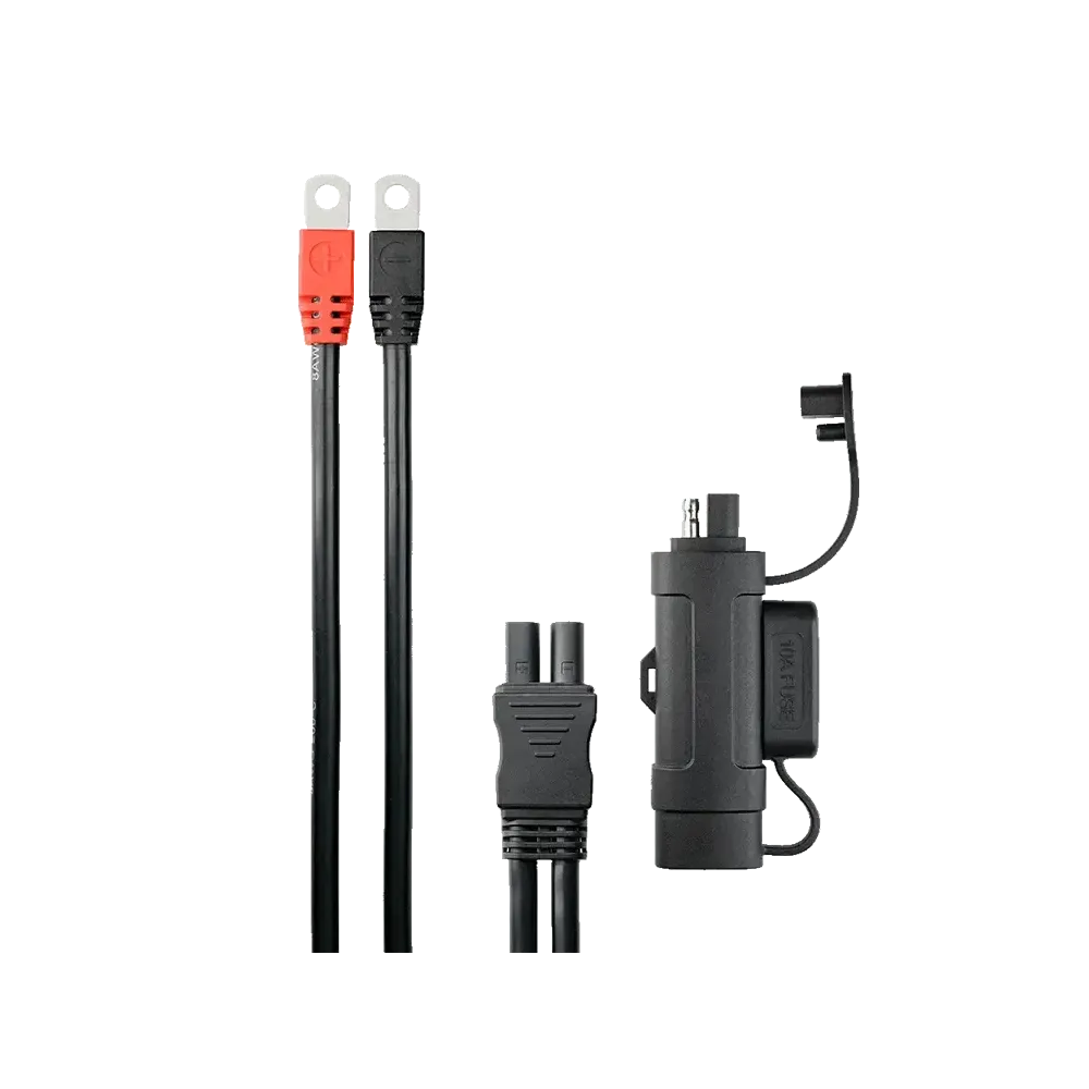 BS BATTERY PA-01 MAX Eyelet Connector — 12V, M6 eyelets, 60 cm (8AWG), 10A fuse