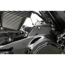 Outer Primary Cover Titanium 12-Point Bolt Kit — for FLT, Silver