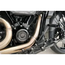 Cam Cover/Point Cover Titanium 12-Point Bolt Kit — 12-point cam & point cover fit, polished silver