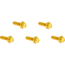 Derby Cover 12-Point Titanium Bolt Kit — Gold