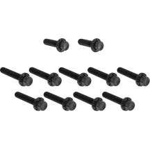 Cam Cover/Point Cover Titanium 12-Point Bolt Kit — Black