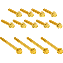 Outer Primary Cover Titanium 12-Point Bolt Kit — Gold