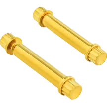 Footpeg Titanium 12-Point Bolt Kit — Gold
