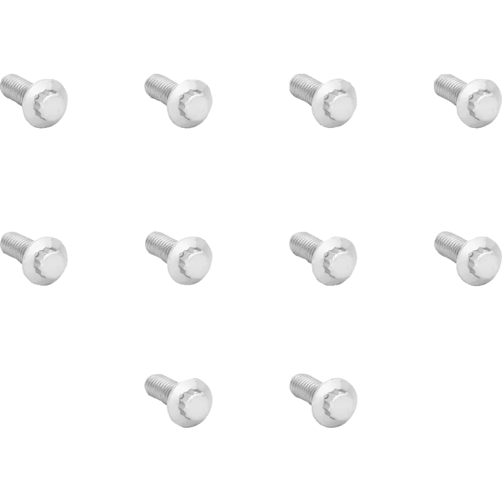 12-Point Rotor Bolt Kit — Stainless steel, Silver