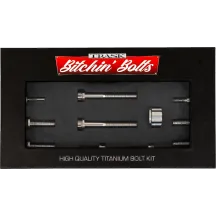 Bitchin' Bolts Peg Mount — Titanium, for M8 models, Silver