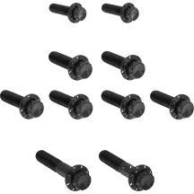 Transmission Side Cover & Trap Door Titanium 12-Point Bolt Kit — Black