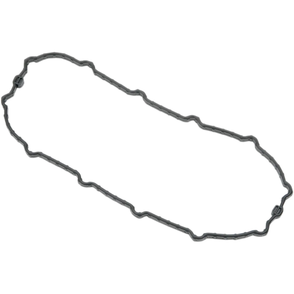 Junta de la puerta de la bomba de combustible — Gris