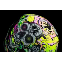 Airform™ Hippy Dippy Helmet — XS, Green