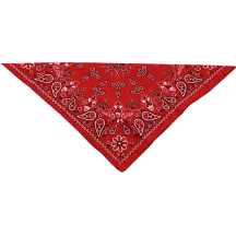 Cotton Bandana — 22" x 22", Red