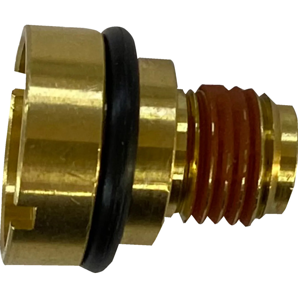 Check Valve — Fuel Injected, Gold