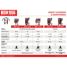 SMART Bank Battery Charger and Maintainer with Reconditioning Function — 3-bank, up to 40 Ah