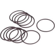 Starter O-Ring — 25 Pack