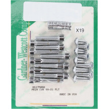 Primary Cover Bolt Kit — Chrome, Polished