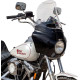Flare® Windshield for Road Warrior Fairing — 38 cm (15"), Clear