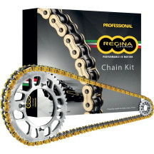 Kit de cadena y piñones 530 ZRP2 — 530, 19/48, Gold