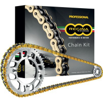 Kit de cadena y piñones 530 ZRP2 — 530, 19/48, Gold