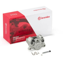 P2.34 Rear Brake Caliper — 2-Piston, Rear, Silver