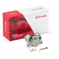 P2.34 Rear Brake Caliper — 2-Piston, Rear, Silver