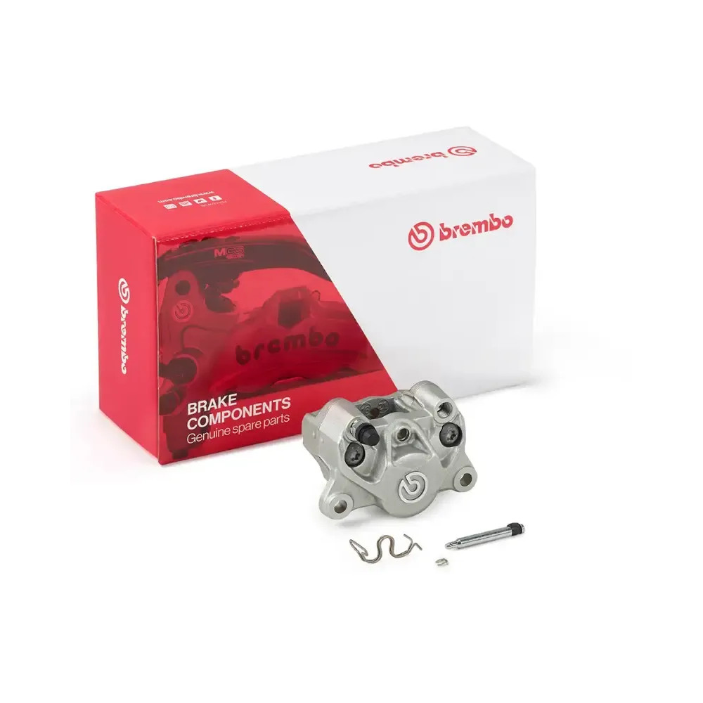 P2.34 Rear Brake Caliper — 2-Piston, Rear, Silver