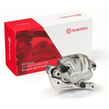 PF2.24 Brake Caliper Prime Line — 2 Piston, Silver, Anodized Aluminum