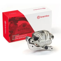 PF2.24 Brake Caliper Prime Line — 2 Piston, Silver, Anodized Aluminum