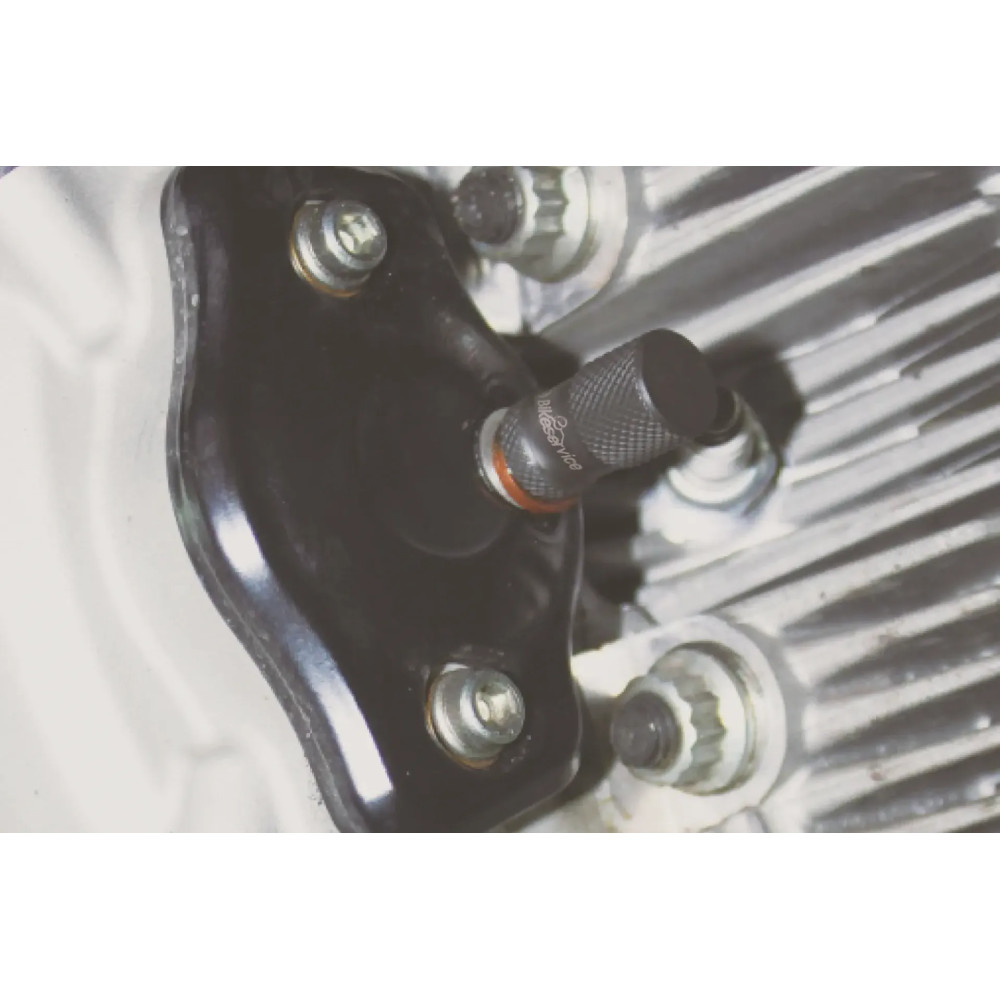Camshaft Locking Pin Set — M5 x P0.8, for 2 valve Ducati engines