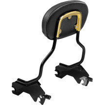 3-Point Sissy Bar Pad Bracket — 6-1/4" length, Gold