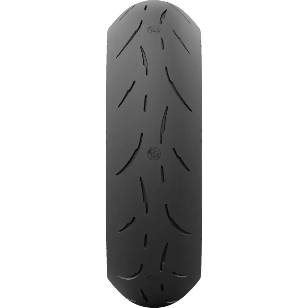 Sportec™ 01 RS Tire — 200/60ZR17, 80W, Rear, Tubeless, Blackwall