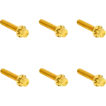 Transmission Side Cover Titanium 12-Point Bolt Kit — Gold, Titanium, 12-Point