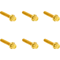 Transmission Side Cover Titanium 12-Point Bolt Kit — Gold, Titanium, 12-Point