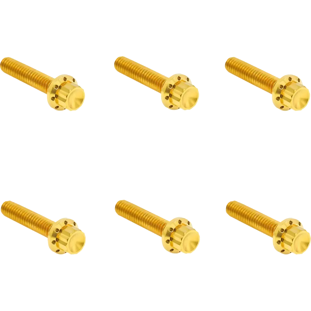 Transmission Side Cover Titanium 12-Point Bolt Kit — Gold, Titanium, 12-Point