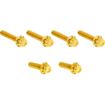 Transmission Side Cover Titanium 12-Point Bolt Kit — Gold, Titanium