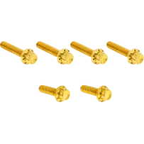 Transmission Side Cover Titanium 12-Point Bolt Kit — Gold, Titanium